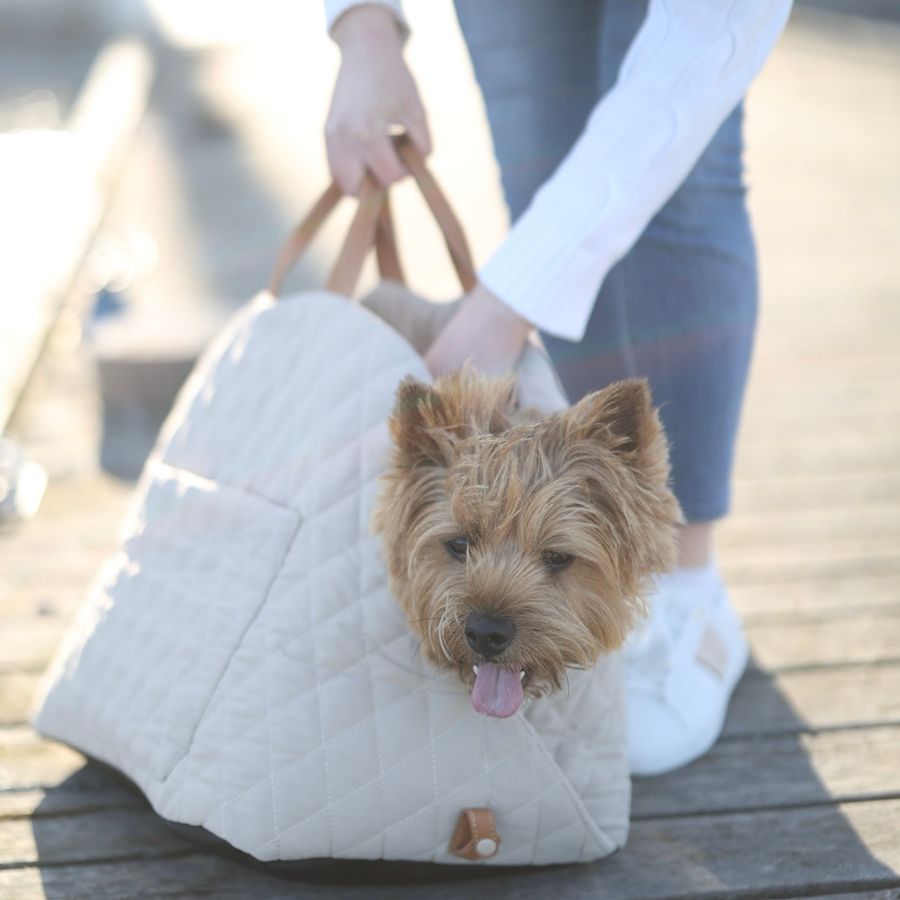 Beige 3-in-1 Pet Carrier